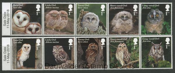 SG4082-91 2018 Owls