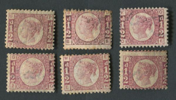 SG48 d Rose, Mint