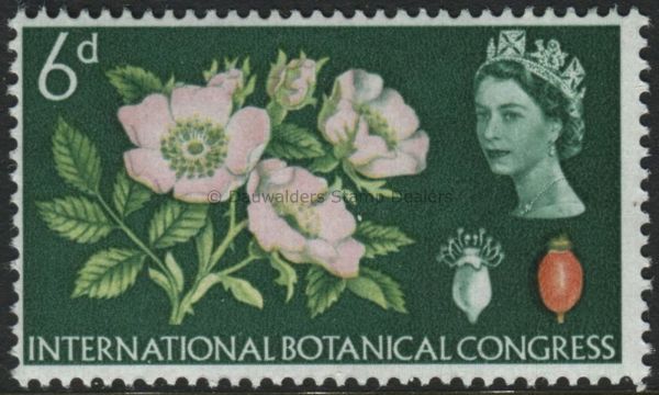 SG656 6d Dog Rose 1964 Botanical Congress