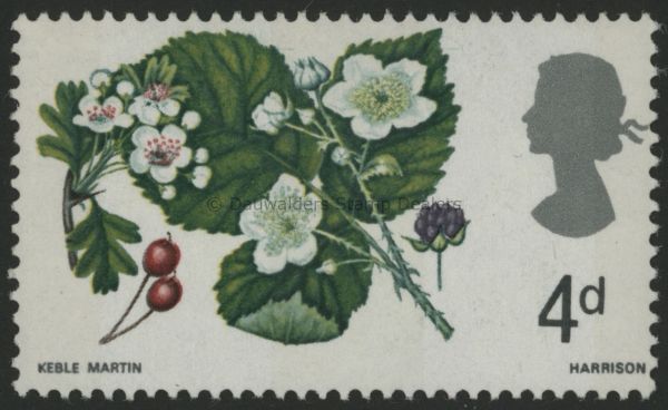 SG717p 4d (Phos) 1967 Flowers