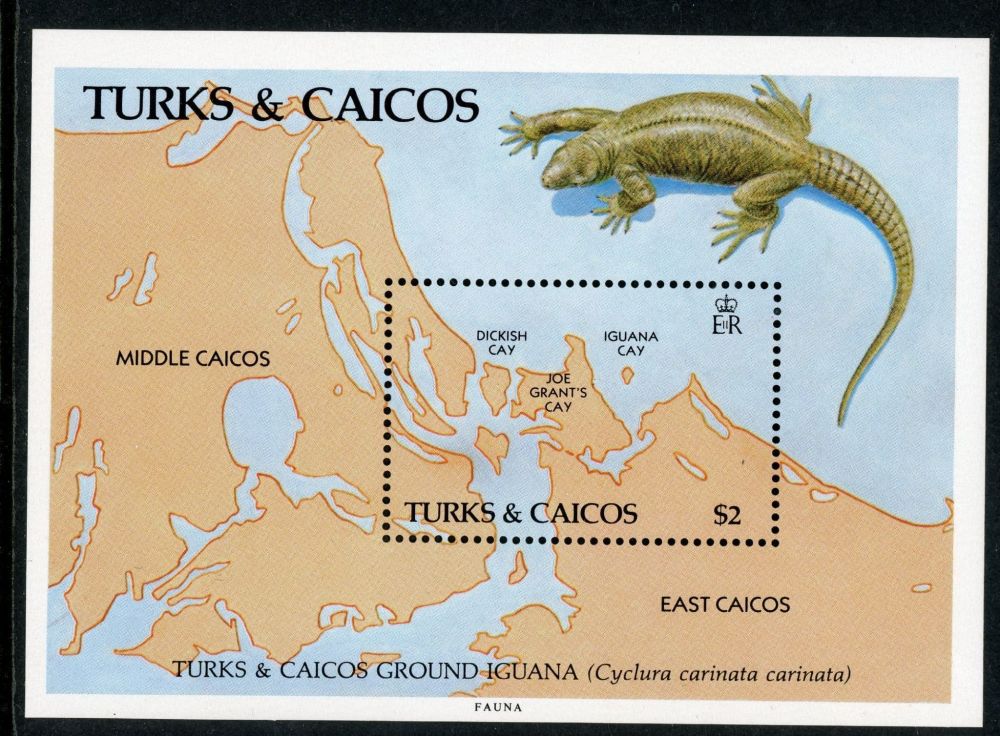 Turks and Caicos Islands 1986 SG.MS892 U/M