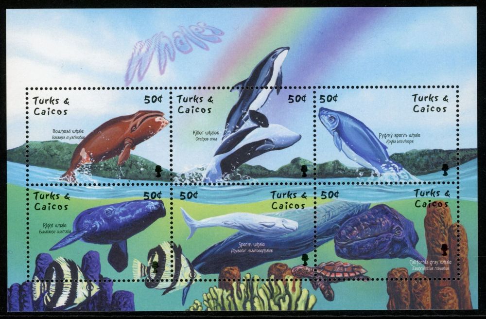 Turks and Caicos Islands 2001 SG.1656-1671 U/M