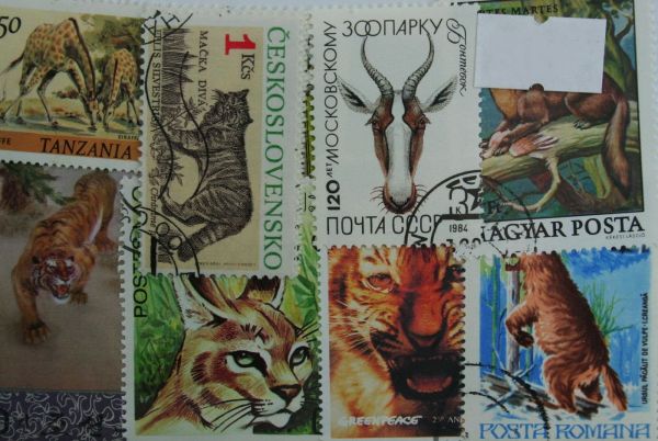 Wild Animals 25 Stamps (658)